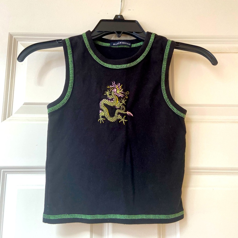 Brandy Melville Dragon Crop Top Tee Shirt